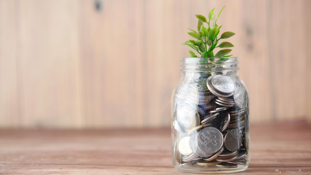 Image: Plant Growing In Savings Coins; Source: Photo by Towfiqu barbhuiya on Unsplash, https://unsplash.com/photos/joqWSI9u_XM